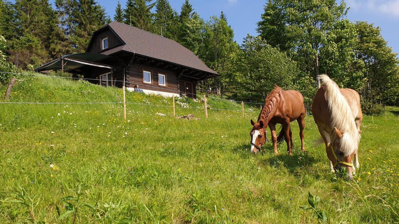 Panorama Ranc Villa Jezici Exterior photo